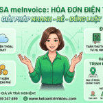 hóa đơn điện tử misa meinvoice