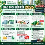 Giao dịch liên kết 2026_ 6 điểm trọng yếu